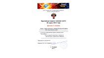 2012-2013 Лаврик Анастасия 9л (Неделя познания мозга)
